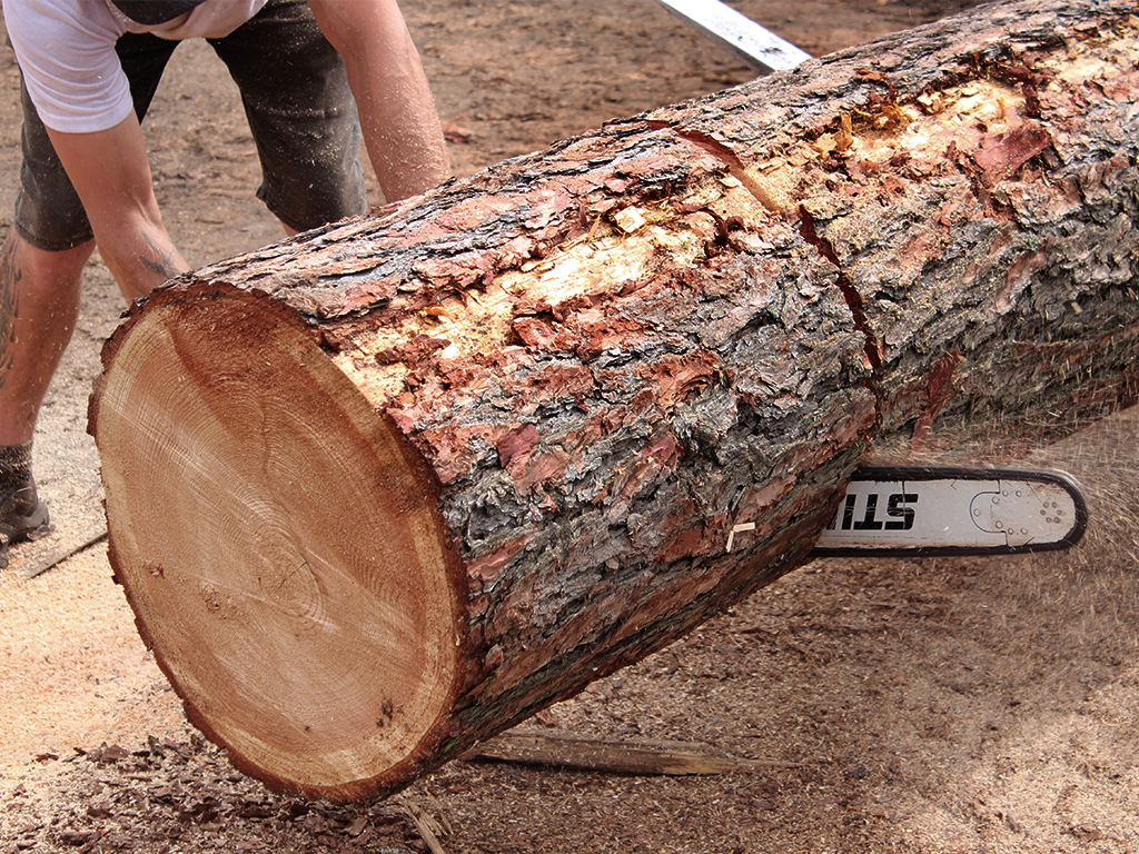 Lärchenstamm beim Zuschnitt für Holzschindeln